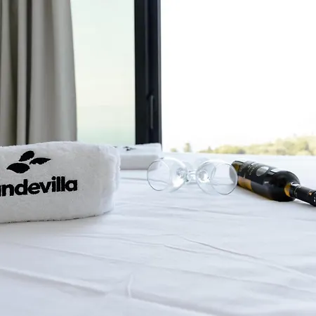 Mandevilla Hillside Luxury Villa *